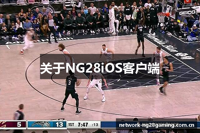 关于NG28iOS客户端